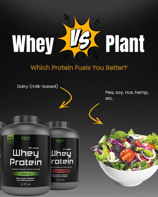 Whey Vs Plant Protein For Muscle Protein Synthesis