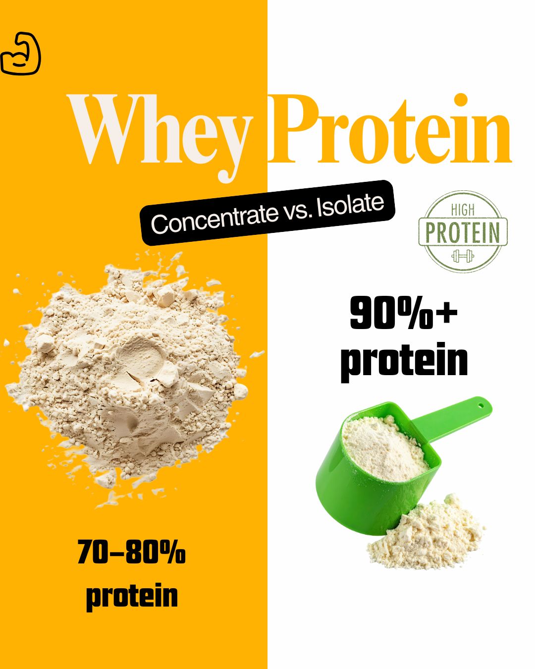 Whey Protein: Concentrate vs. Isolate (2025 Guide)